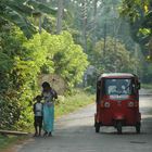 Sri Lanka (2011), Tuk Tuk