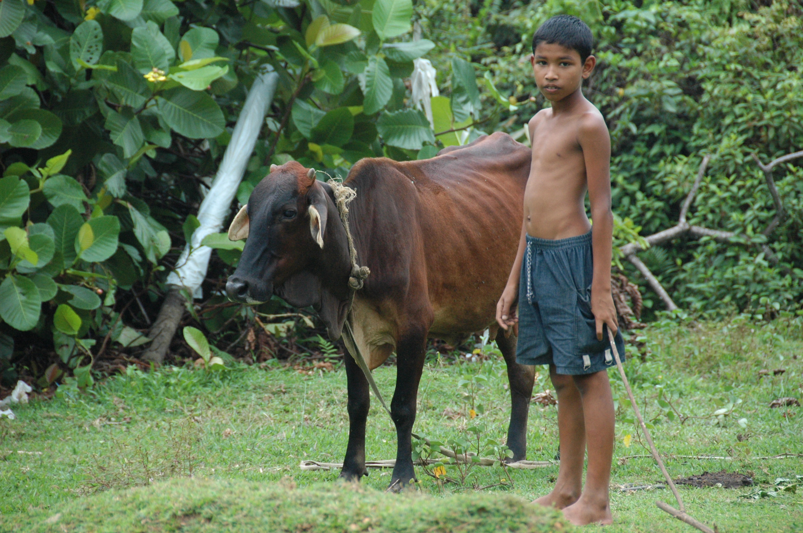 Sri Lanka (2013), Cowboy