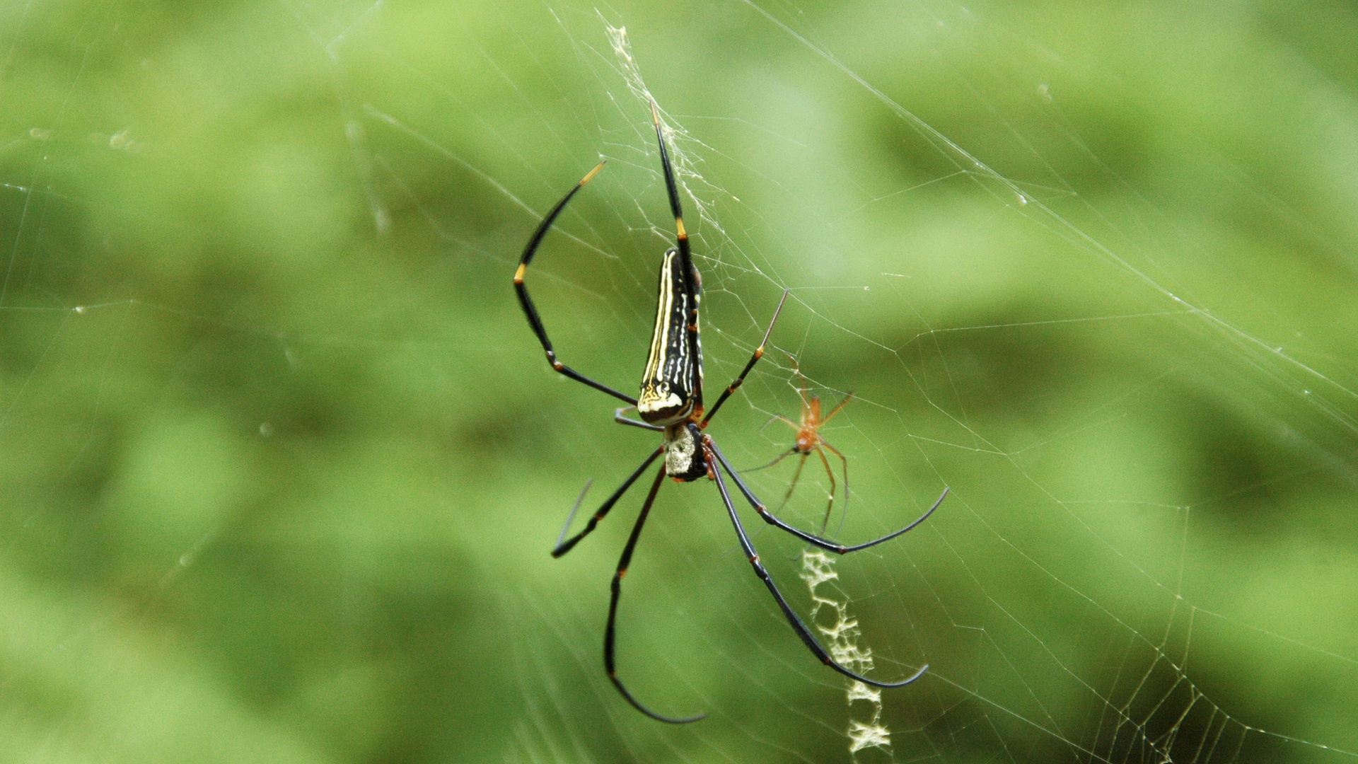 Sri Lanka (2016), Sinharaja NP