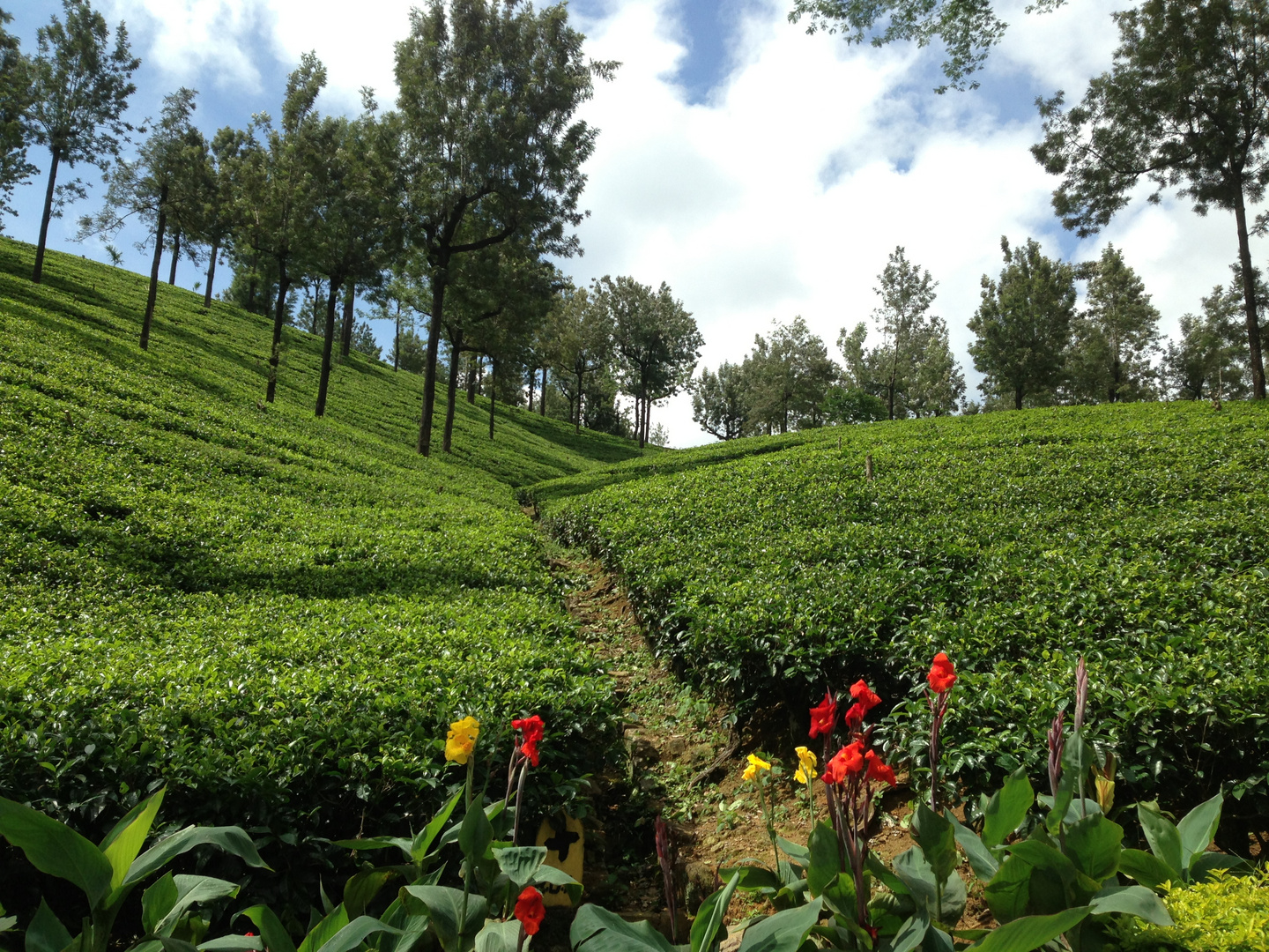 Sri Lanka 