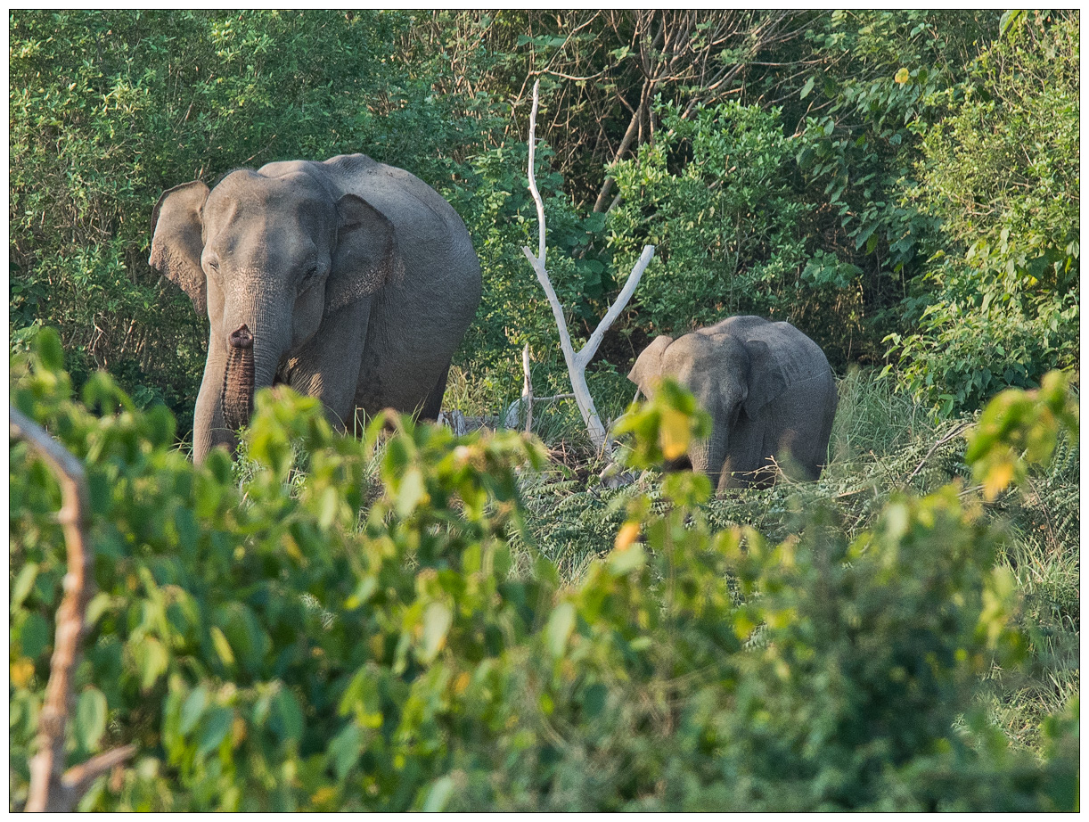 Sri Lanka #  29