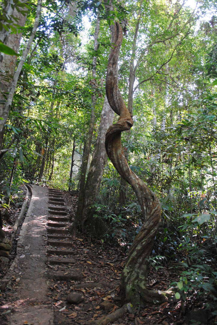 Sri Lanka 