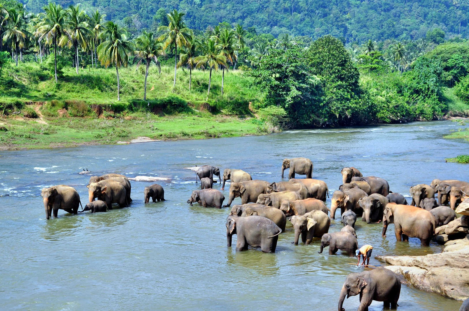 Sri Lanka