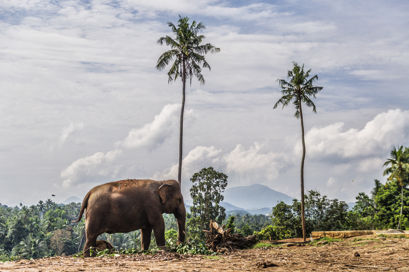 Sri Lanka