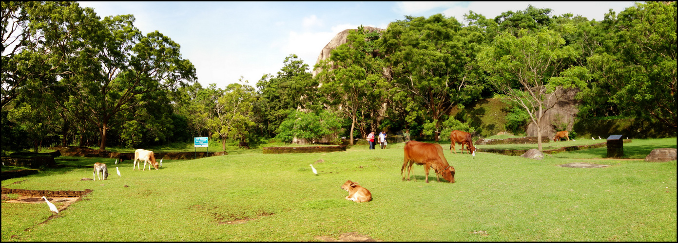 Sri Lanka