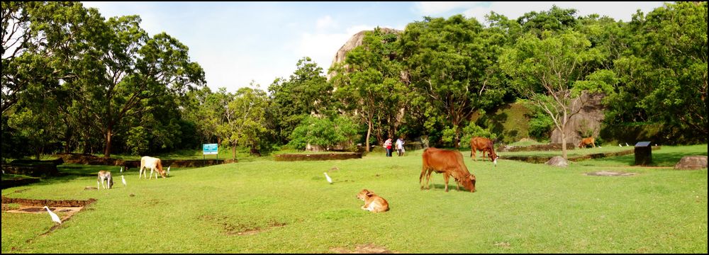 Sri Lanka