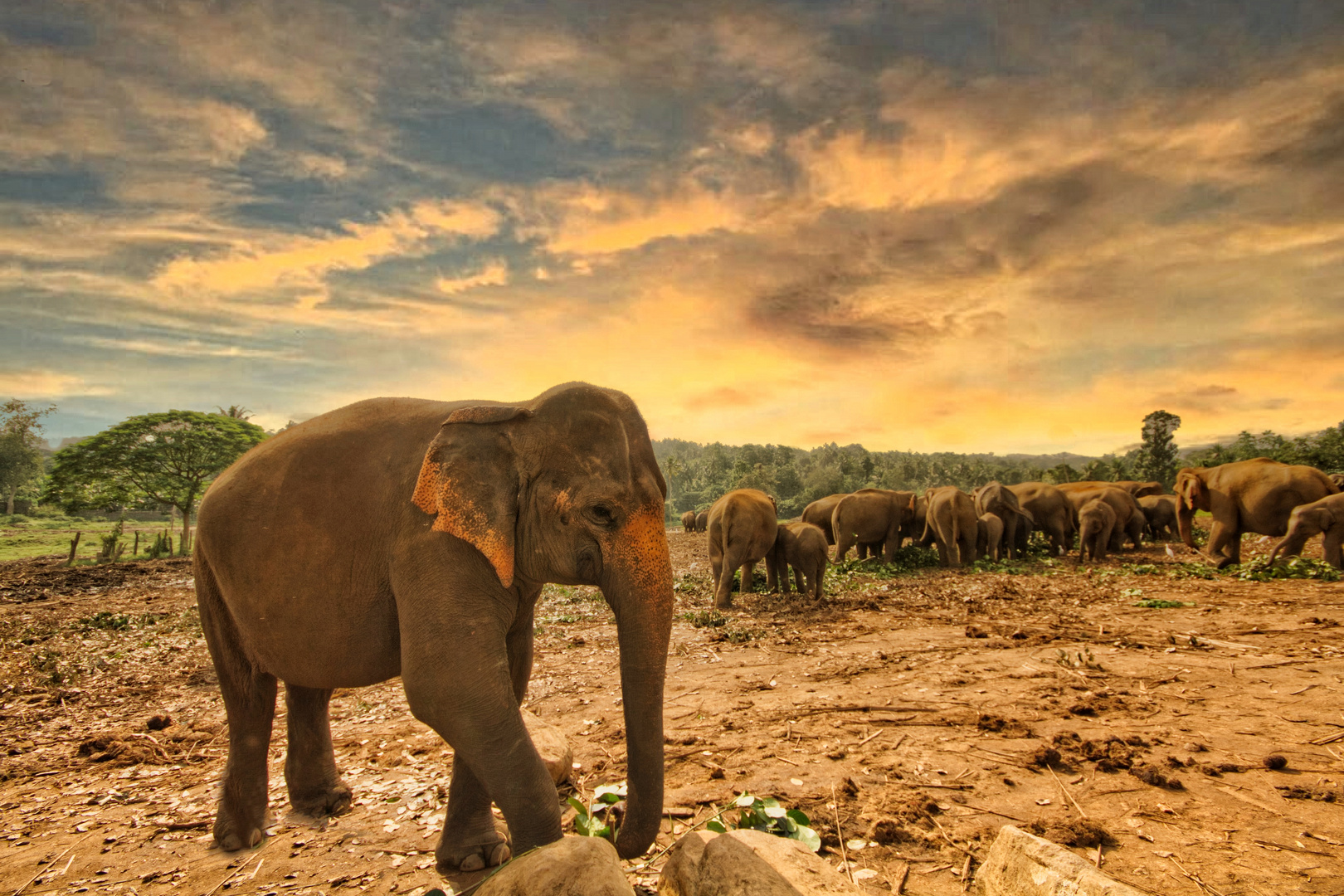 Sri Lanka