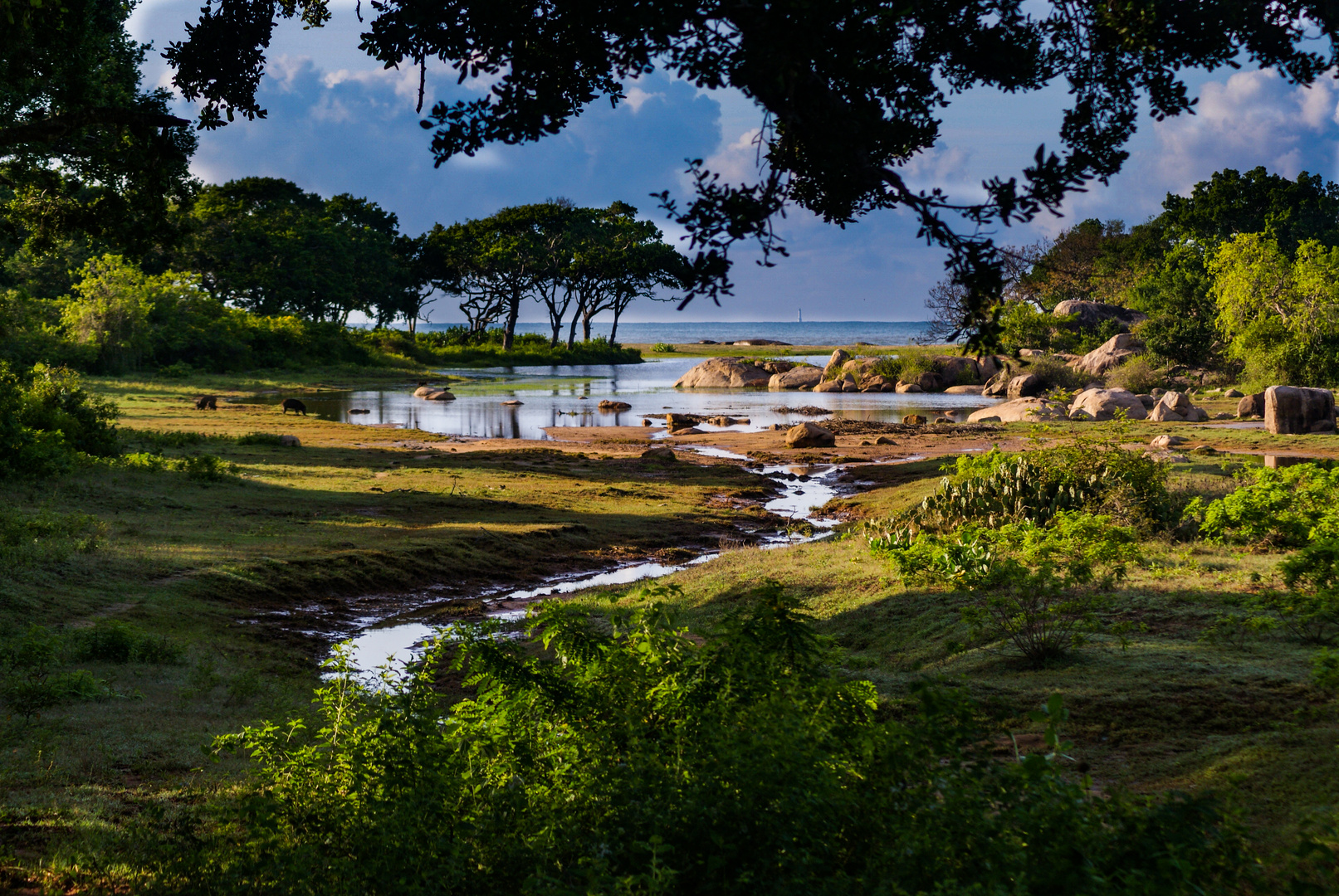 Sri Lanka