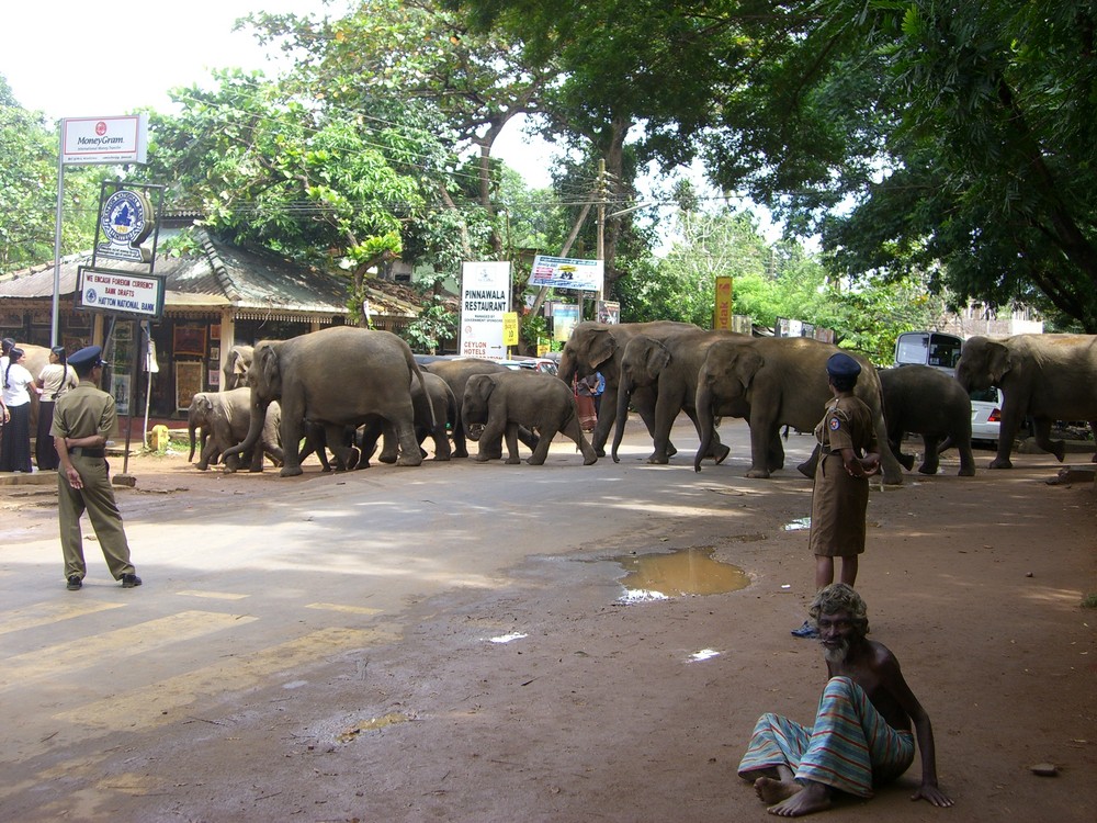 Sri Lanka