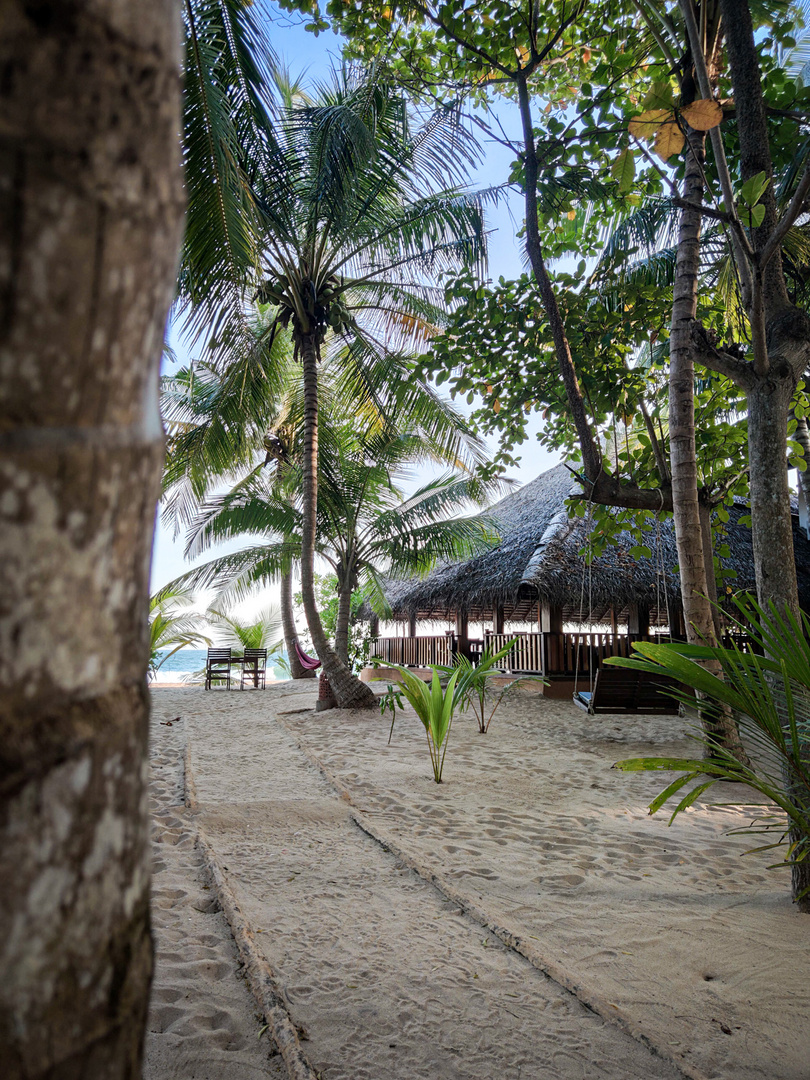 Sri Lanka - der Weg zum Strand (Handybild)