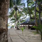 Sri Lanka - der Weg zum Strand (Handybild)