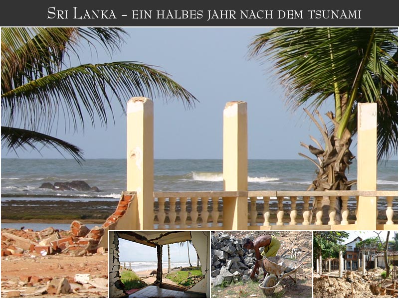 Sri Lanka - ein halbes Jahr nach dem Tsunami