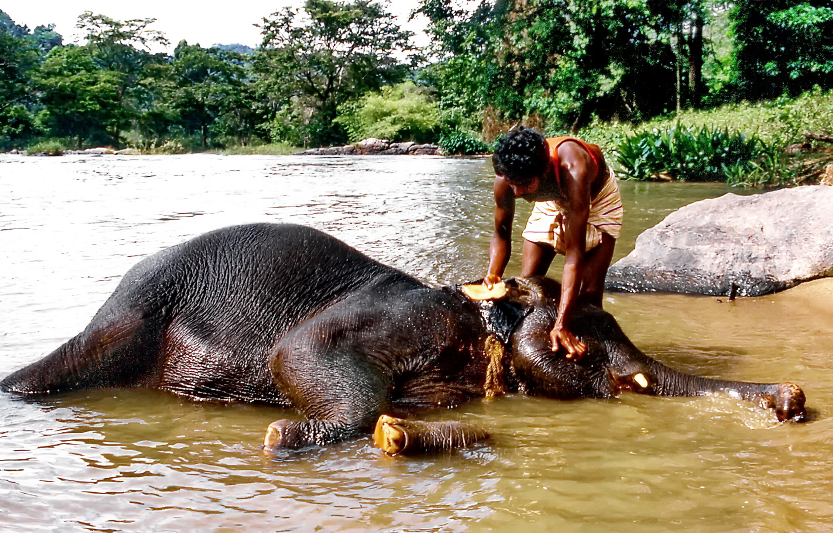 Sri Lanka: Ein Vollbad am Kelani River