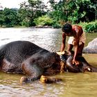 Sri Lanka: Ein Vollbad am Kelani River