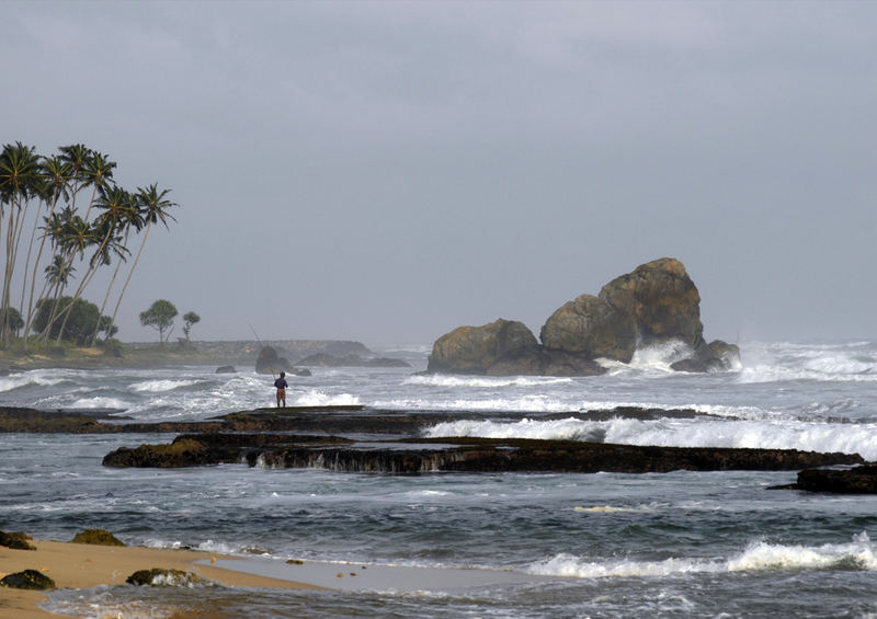 Sri Lanka Fischer