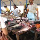 Sri Lanka, Fishmarket