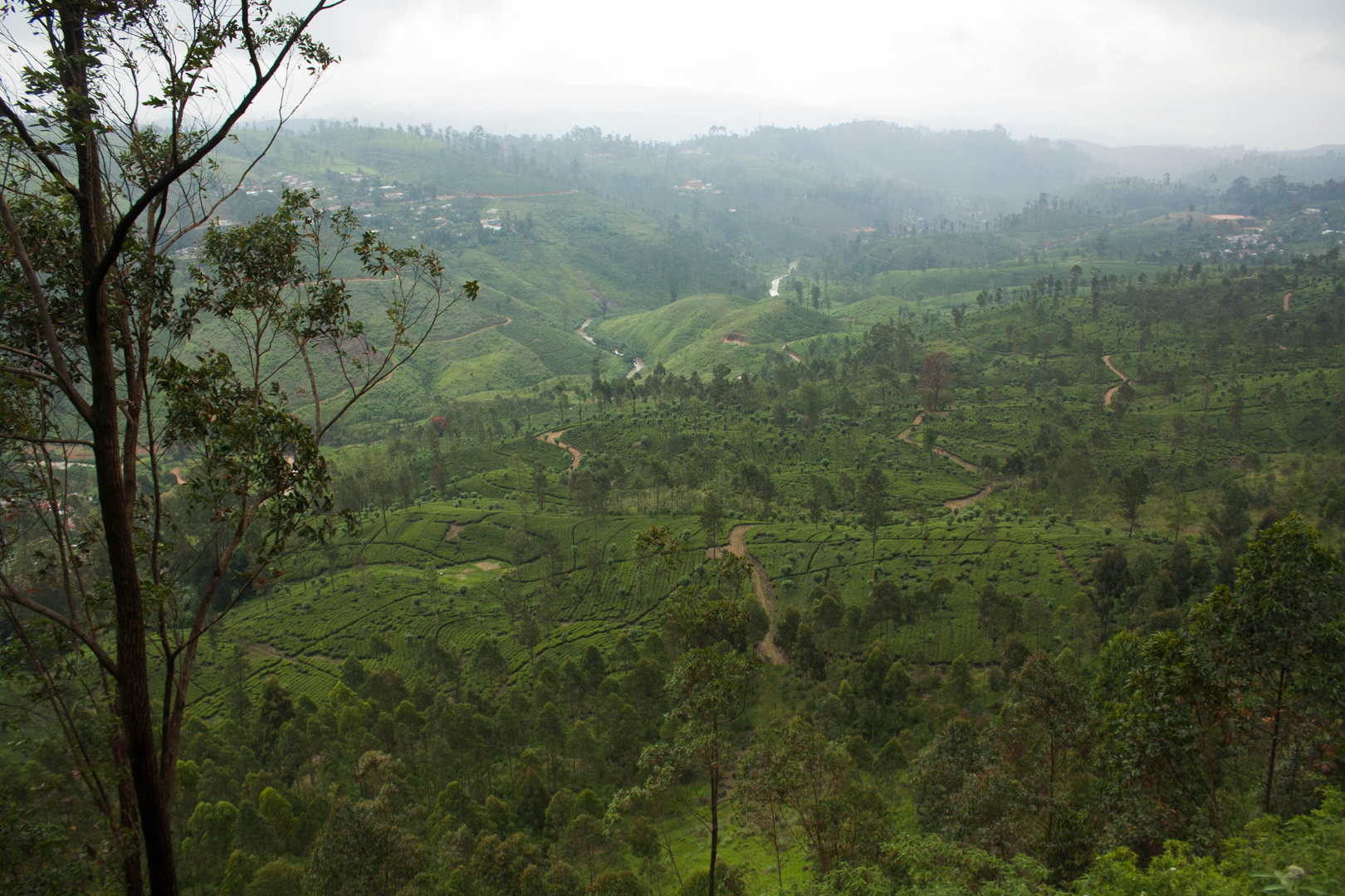 Sri Lanka Highlands