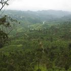 Sri Lanka Highlands