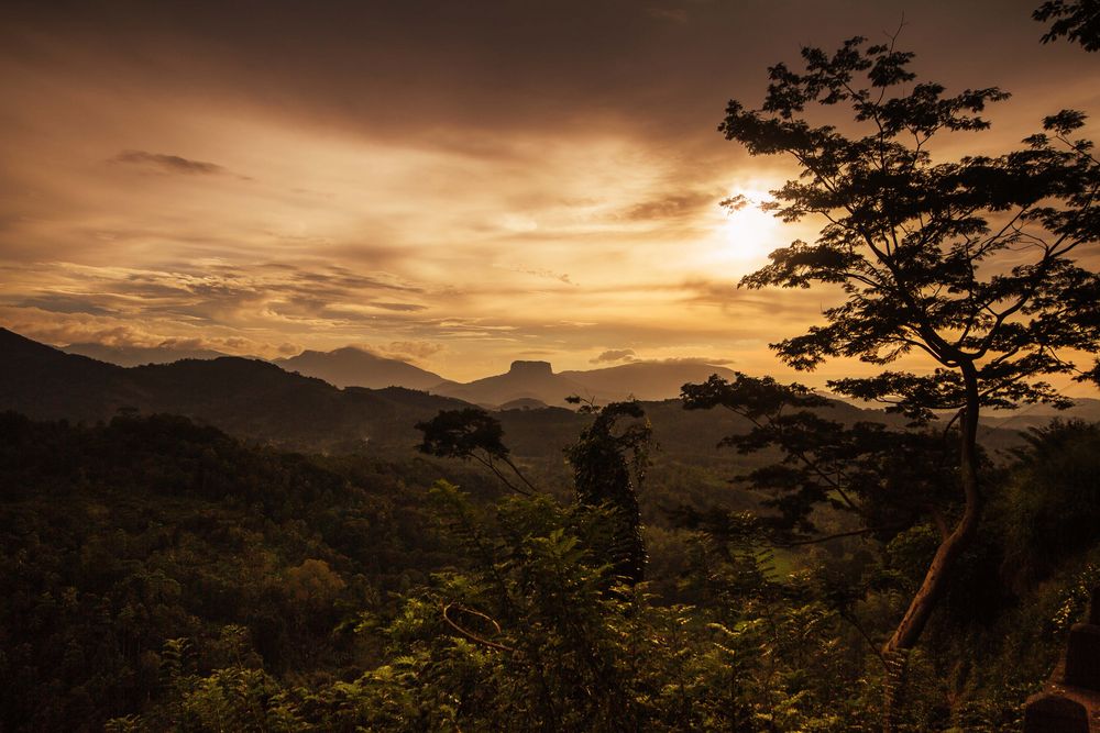 Sri Lanka, Hochland,