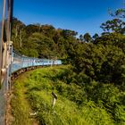 Sri Lanka im Zug