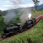 Sri Lanka : Kandy - Nanu Oya