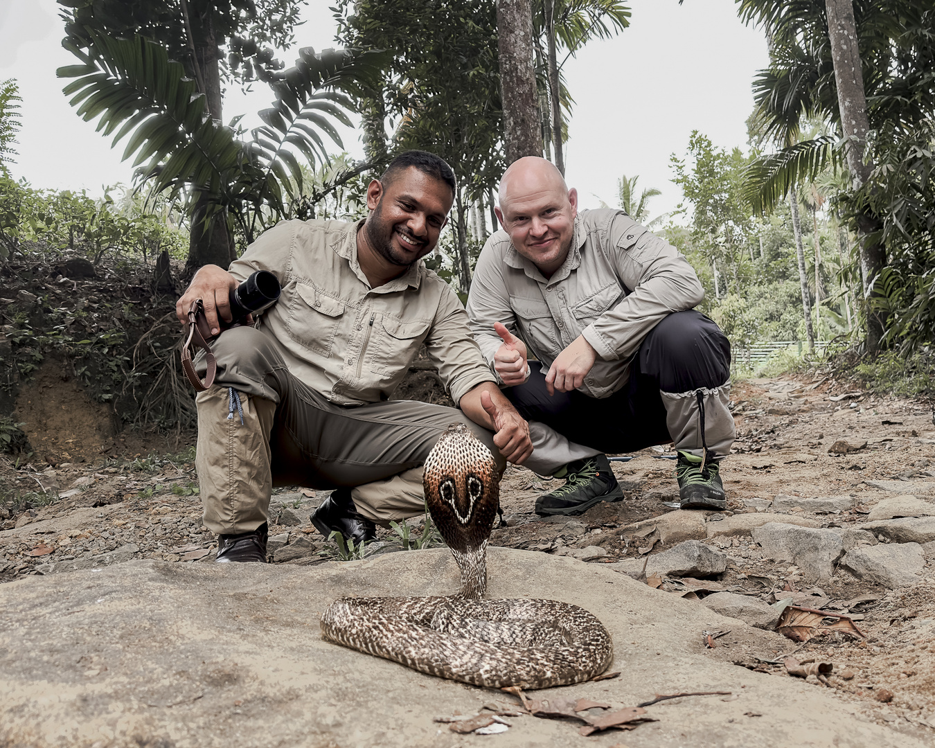 Sri Lanka Kobra gefunden