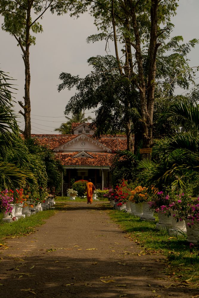 Sri Lanka, Kogalla