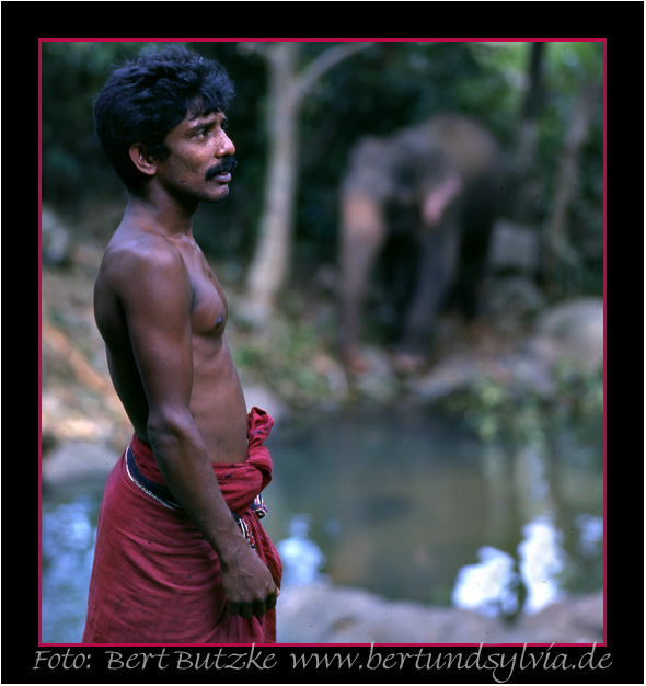 Sri Lanka Mahout