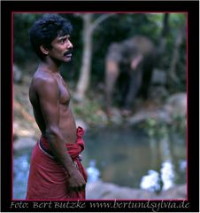 Sri Lanka Mahout