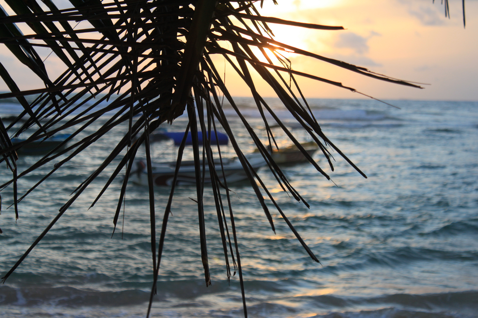 Sri Lanka - Palmensonnenuntergangsboote