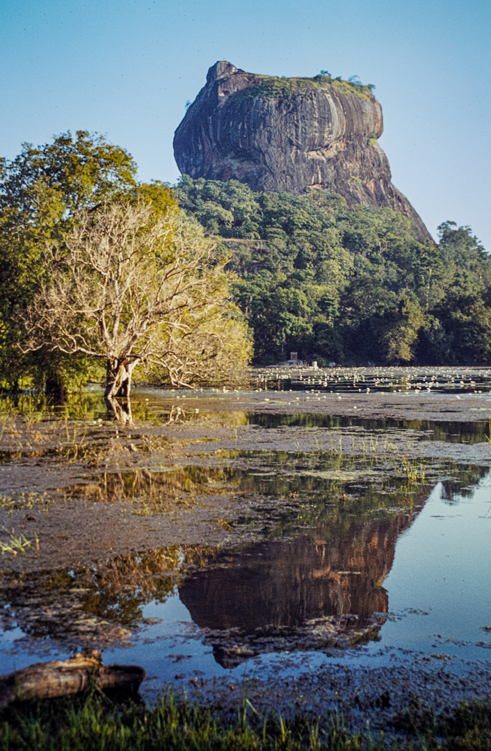 Sri Lanka-Sigiriyafelsen