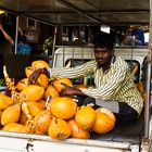 Sri Lankan Coconut Man