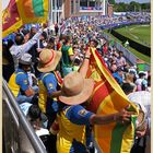 sri lankan fans at the riverside ground 4