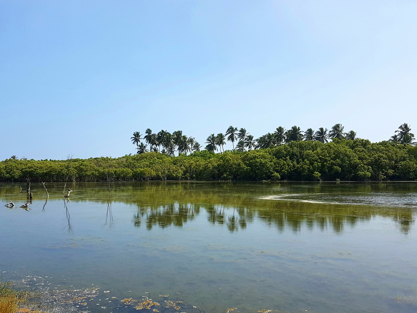 Sri lankan Lake