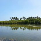 Sri lankan Lake