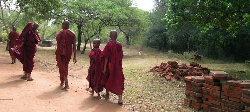 sri lankan' monks