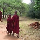 sri lankan' monks