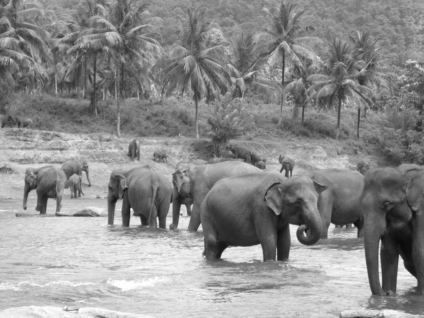 Sri Lanka´s beauty