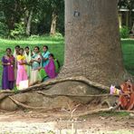 Sri Lanka's junge Damen