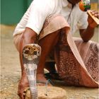 Sri-lankischer Schlangenbeschwörer I