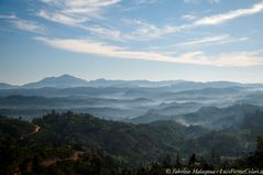 SriLanka Landscape