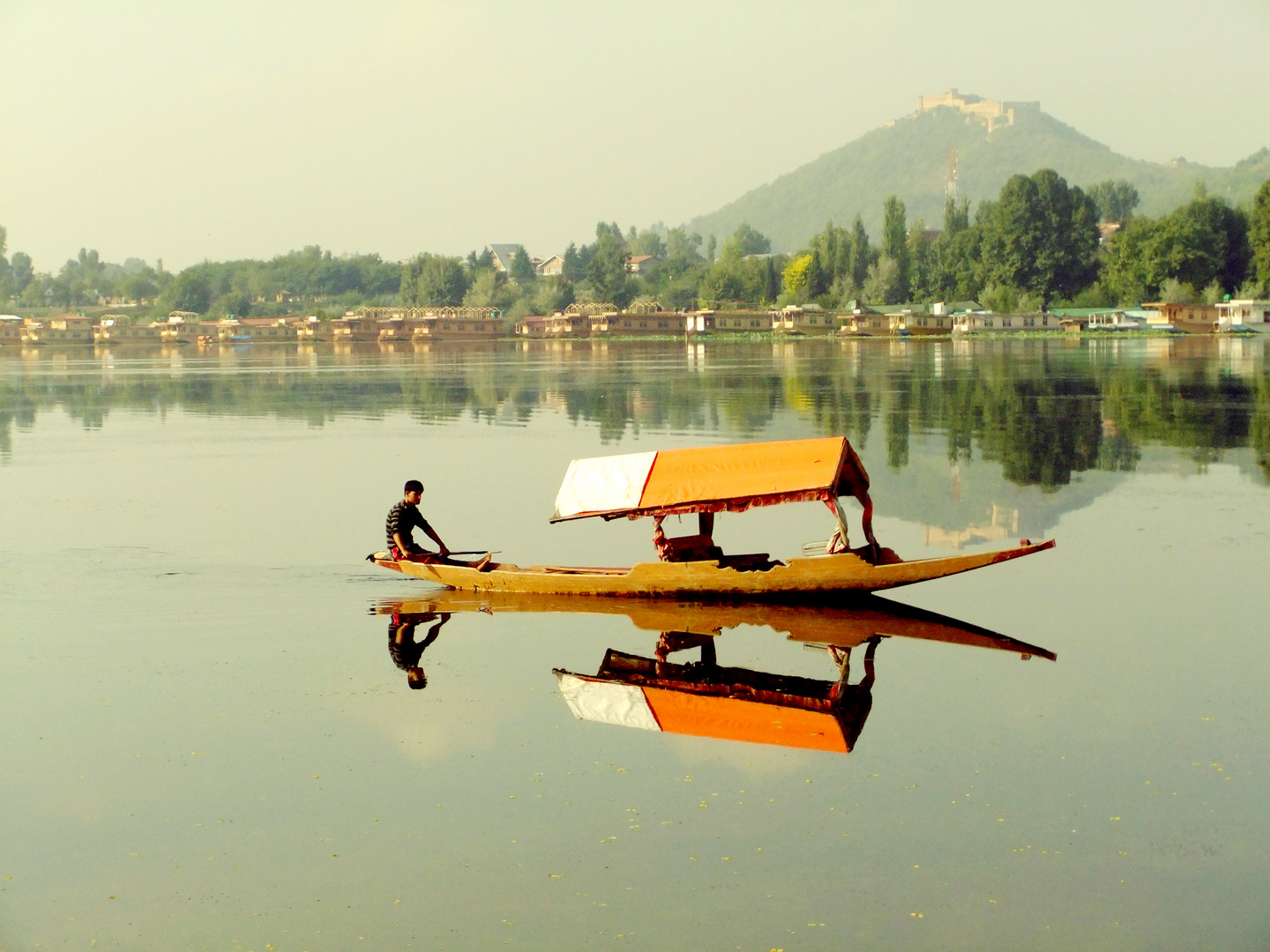 Srinagar