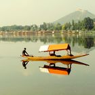 Srinagar