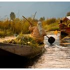 Srinagar - Morgenstimmung am Dal Lake