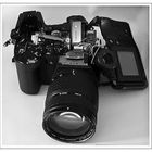 User Profile Photo