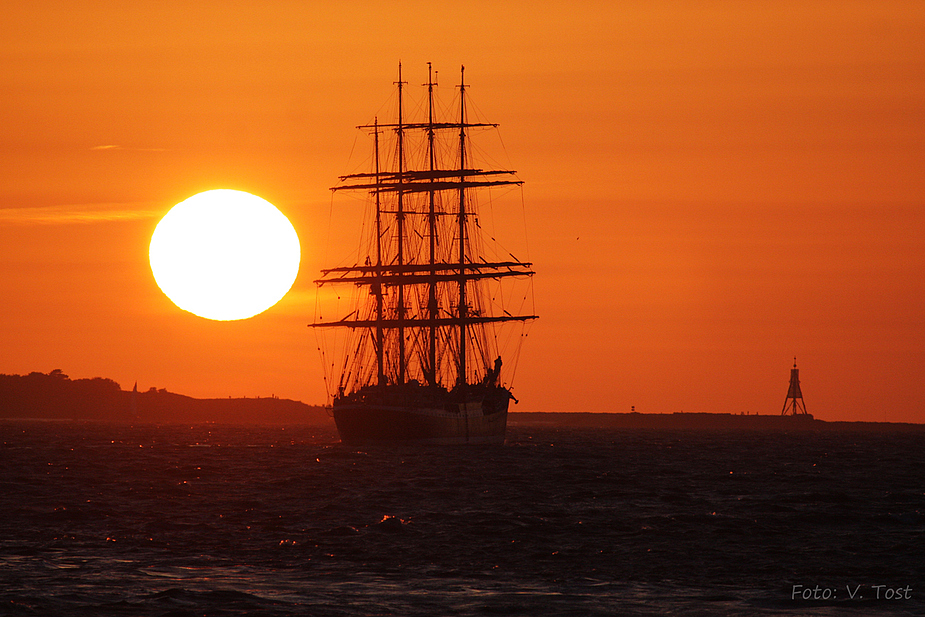 SS SEDOV vor Cuxhaven