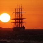 SS SEDOV vor Cuxhaven