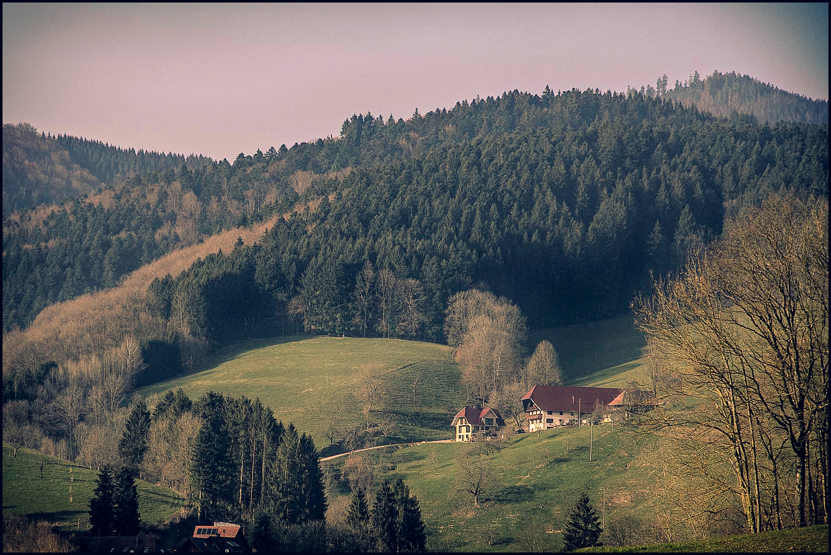 S'Schiddebure im hintere Fischerbach