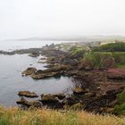 St. Abbs an der Südostküste Schottlands...