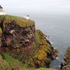 St. Abbs Head...